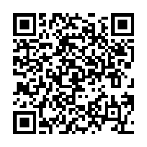 那么建成之后仅仅这一个企业就能让全区gdp增加20个百分点二维码生成