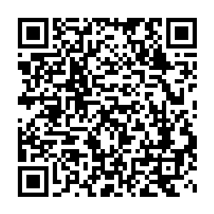 那么德川家和井上家一起研究人工养殖金枪鱼的事情你是怎么知道的二维码生成