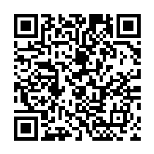 那么恐怕也只有这个世界里的生命力更加的强盛一些罢了二维码生成