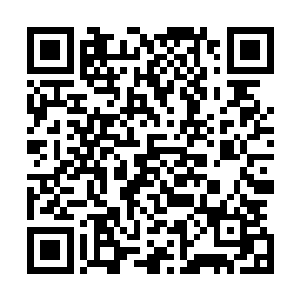 那么您对上次凯文和一个无名少年决斗的事件有什么看法吗二维码生成