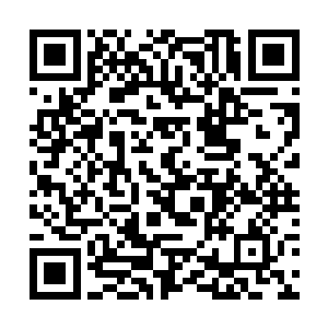 那么想必也你应该知道……还有一种更加强大的生灵二维码生成