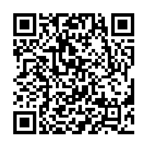 那么我们今天可就全都靠你了啊……一定要满载而归二维码生成