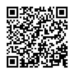 那么我们就会欠土流沙一个人情你们就顺水推舟吧二维码生成