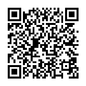 那么我们政府职能部门就应当要满足这个要求么二维码生成