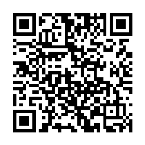 那么我们根本无法同时对交趾本土造成致命的打击二维码生成