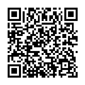 那么我呢我身上有什么特别的东西他们化不掉呢二维码生成