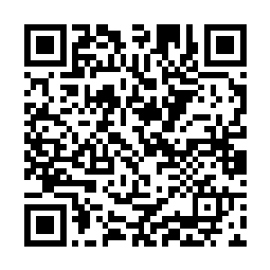 那么我是什么人对你来说已经没有任何意义了不是么二维码生成