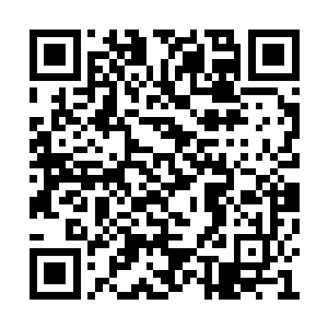 那么我正好借此看看南荒许家还有多少人有血性二维码生成