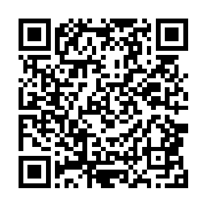 那么我的神魂武器将顶着他的躯壳继续在盘古宇宙中活动二维码生成