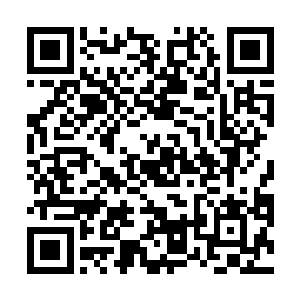 那么我眼前的这个老者为什么和那个死去的人那么相似二维码生成