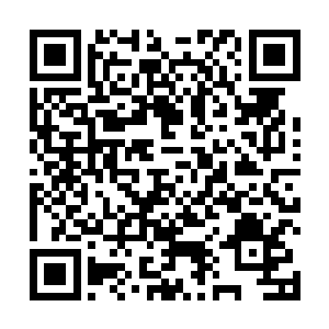 那么投入到捕虾捞蟹事业的渔夫一准儿会翻着倍儿增长二维码生成