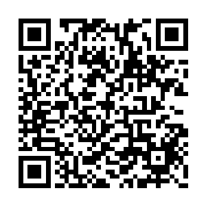 那么拥有碧水指环和暗金耳坠的唐慕馨和李念薇二维码生成