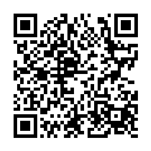 那么拥有这种武器的青羽族将会是我们强大的对手二维码生成