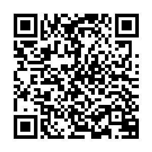 那么排在最前面的必然有一项就是为什么他的王国没有出现迪拜二维码生成