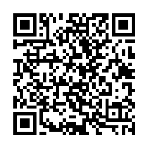 那么接下来的战斗似乎不是我们这个层级能参与的了二维码生成