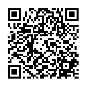那么政府就应当给予他们补偿以及为他们寻找另外一条生存之路二维码生成