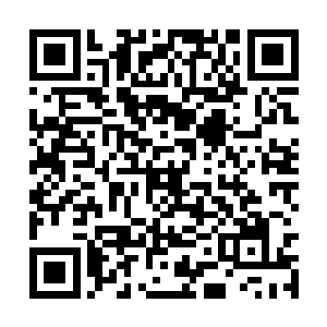 那么星罗大千界中的每个世界都是这海洋中的岛屿二维码生成