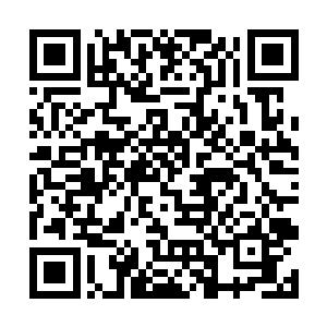 那么是不是就代表着他又有机会重新夺取道祖传承了二维码生成