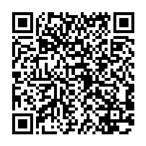 那么是不是意味着我们用那种能破他防的攻击轰他十到二十次就能把他干掉了呢二维码生成