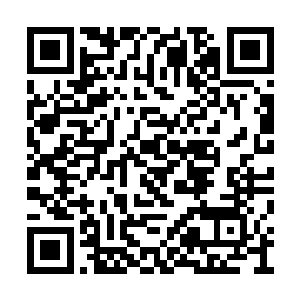 那么是冰封大帝遗留在命格中的力量爆发造成的二维码生成