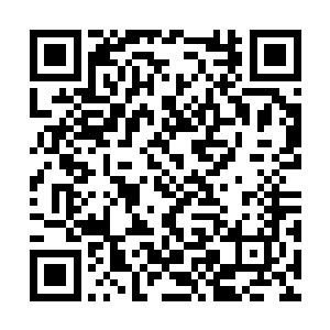 那么最好的办法当然是不要把狗宝宝放到自己身边二维码生成