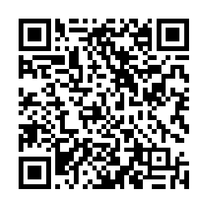 那么最终自己还是要在决赛上对上青莲公主这个头等大敌吗二维码生成