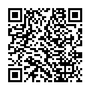 那么柳家人势必会以此来要求同样免除柳贵妃殉葬的事二维码生成