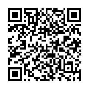 那么此刻与这数千只大大小小的野兽在山谷之中的搏杀二维码生成