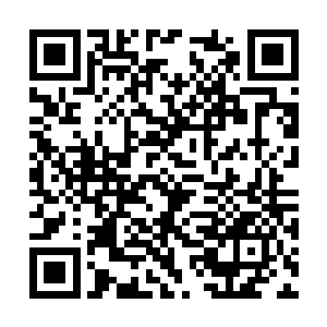 那么此刻他只怕早就已经被塔尔塔罗斯给轰杀了了二维码生成
