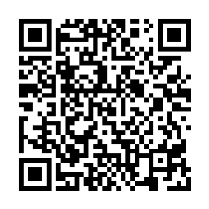 那么此刻的血之星域完善度提升起来就是龟速了二维码生成