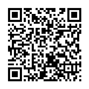 那么江少游这个安德鲁的假主人也必然会受到关注二维码生成