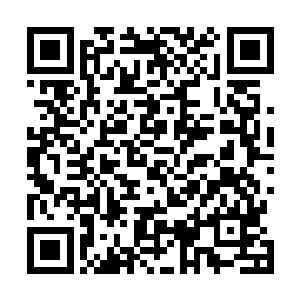 那么现在不少人都有些忍不住了……尤其是那些八星杀手二维码生成