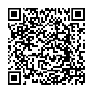 那么现在孙子轩就等同于是将自己的身体送上去让这个仙人的长剑穿透了二维码生成