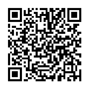 那么现在的小姑娘看起来就像一头野性十足的小豹子二维码生成