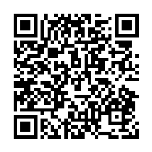 那么珍贵的龙之泪居然被两条蠢笨的鱼给吞食了二维码生成