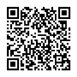 那么白河谷地……她都不知道接下来会变成什么样二维码生成