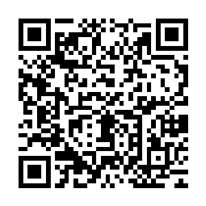 那么白芷璃能够被秋意瑟看上很有可能就是白家的那个命定凰女二维码生成