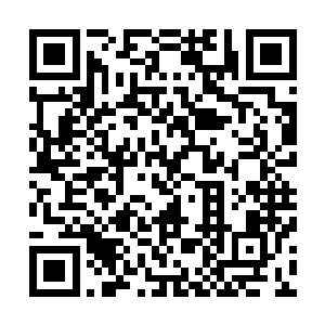 那么盘古文明大约是在三百六十五天的最后一天凌晨才出现二维码生成