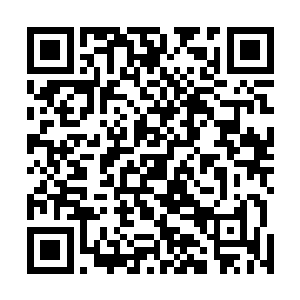 那么第二场比赛万里迢迢找来一支南美劲旅是什么意思呢二维码生成