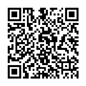 那么结果也是可想而知的……不但是他秦方活不下去二维码生成