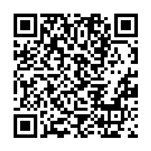 那么肯定很快就会有大部分的高手跑到这里来杀夏天二维码生成