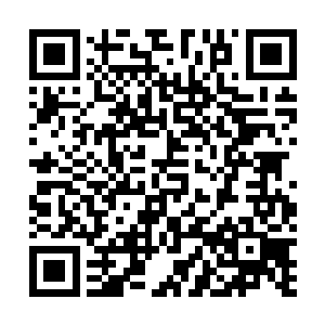 那么自己只怕就很难如此轻松的从那个招待所里走出来了二维码生成