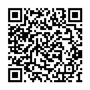 那么自己恐怕一辈子都没有办法更快的提升实力二维码生成