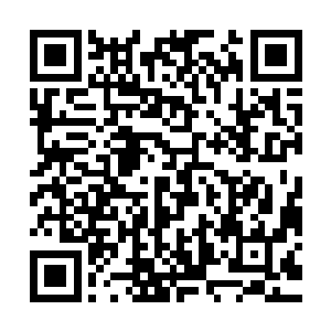 那么苏落现在炼制的就是一百二十到一百三十步的这样一个过程二维码生成