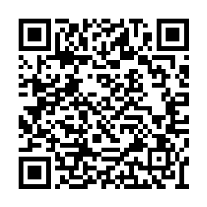 那么虎城城主的位置就会由虎城其他的高层接任二维码生成