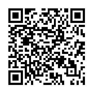 那么虽然依旧可以加快土之法相和金之法相的凝聚二维码生成