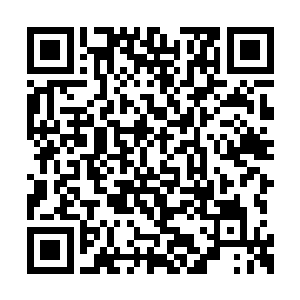 那么说她敢动手推谢柔嘉落水的话也不是不可能二维码生成