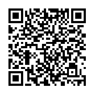 那么赵长枪的做法显然有欺骗警察做假口供的嫌疑二维码生成