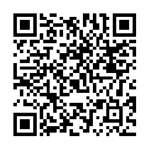 那么身边这个她到现在对他身份还将信将疑的年轻男人二维码生成