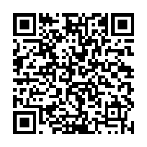 那么还不如直接从一开始就将自身置于风雨飘摇之中二维码生成